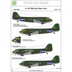 C-47 ピンナップ ノーズアート