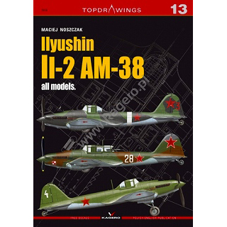 【新製品】[2071007013001] TOPDRAWINGS7013)イリューシン Il-2 AM-38 シュトルモビク